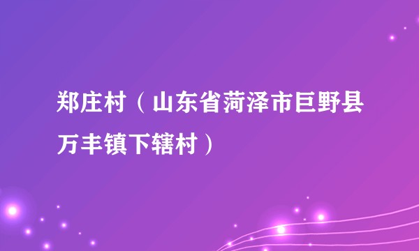 郑庄村（山东省菏泽市巨野县万丰镇下辖村）