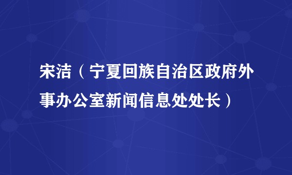 宋洁（宁夏回族自治区政府外事办公室新闻信息处处长）