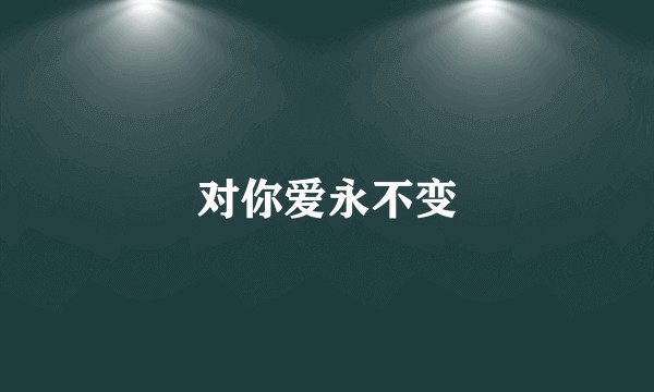 对你爱永不变