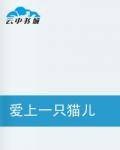 爱上一只猫儿