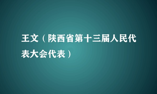 王文（陕西省第十三届人民代表大会代表）