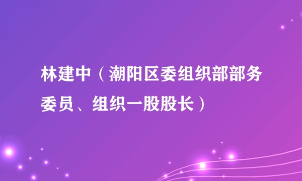 林建中（潮阳区委组织部部务委员、组织一股股长）