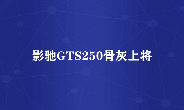 影驰GTS250骨灰上将
