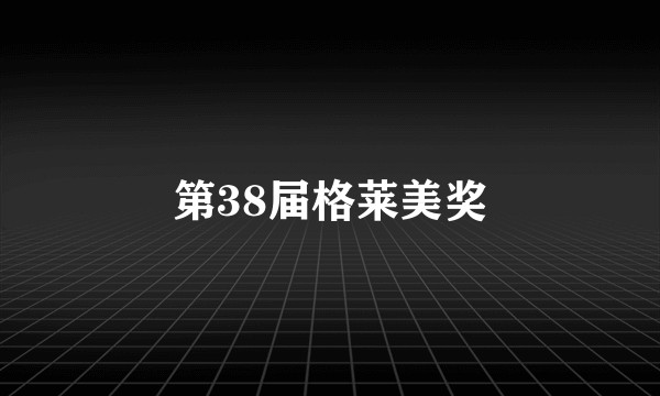 第38届格莱美奖