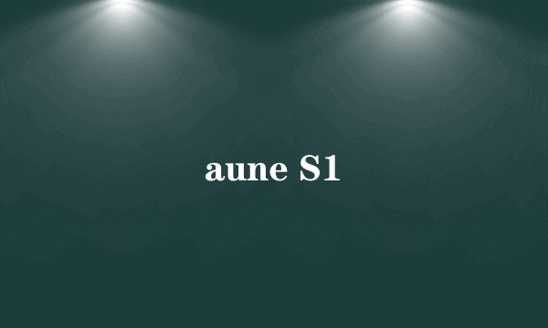 aune S1