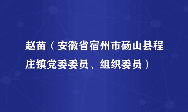 赵苗（安徽省宿州市砀山县程庄镇党委委员、组织委员）