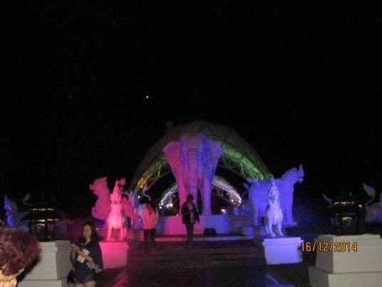 清迈夜间野生动物园