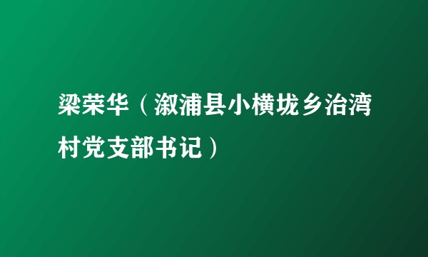 梁荣华（溆浦县小横垅乡治湾村党支部书记）