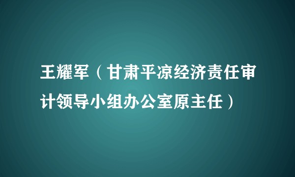 王耀军(甘肃平凉经济责任审计领导小组办公室原主任)