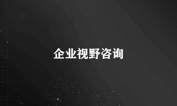 企业视野咨询
