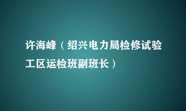许海峰（绍兴电力局检修试验工区运检班副班长）