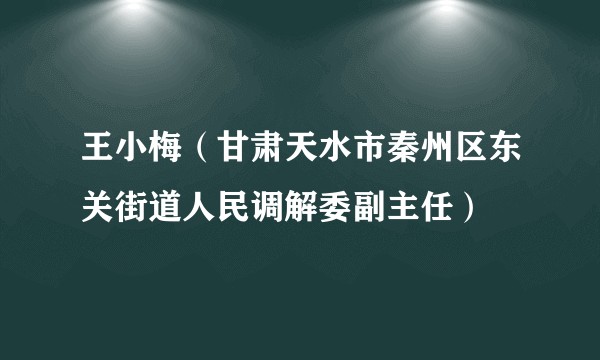 王小梅（甘肃天水市秦州区东关街道人民调解委副主任）