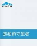 孤独的守望者（小说）