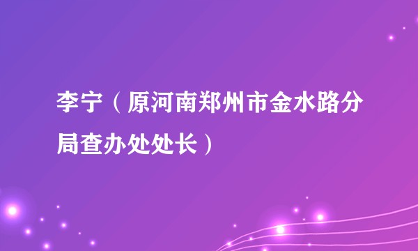 李宁（原河南郑州市金水路分局查办处处长）
