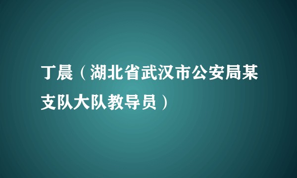 丁晨（湖北省武汉市公安局某支队大队教导员）