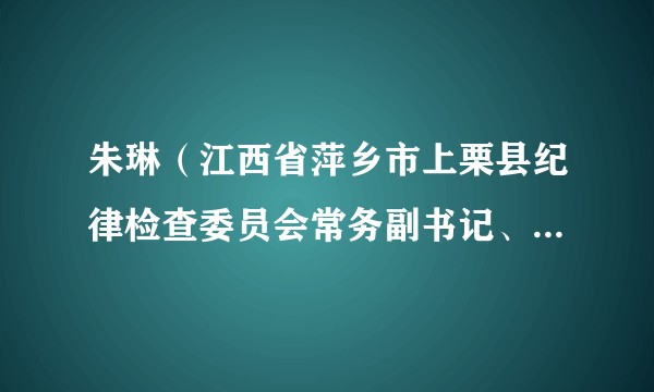 朱琳（江西省萍乡市上栗县纪律检查委员会常务副书记、监察委员会副主任）