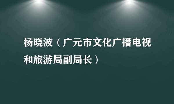 杨晓波（广元市文化广播电视和旅游局副局长）
