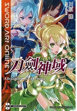 Sword Art Online 刀剑神域 (17)