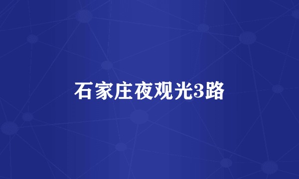 石家庄夜观光3路