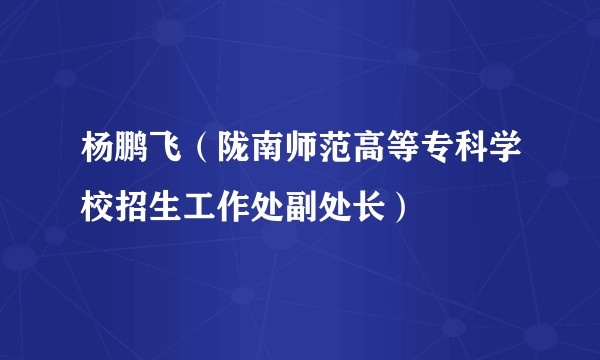 杨鹏飞（陇南师范高等专科学校招生工作处副处长）