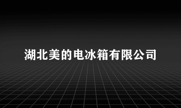 湖北美的电冰箱有限公司