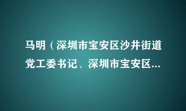 马明（深圳市宝安区沙井街道党工委书记、深圳市宝安区沙井街道办事处主任）