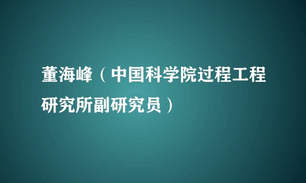 董海峰（中国科学院过程工程研究所副研究员）