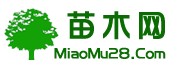 江苏花木网