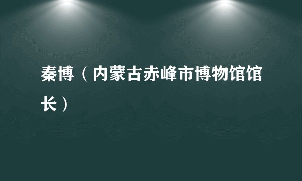 秦博（内蒙古赤峰市博物馆馆长）