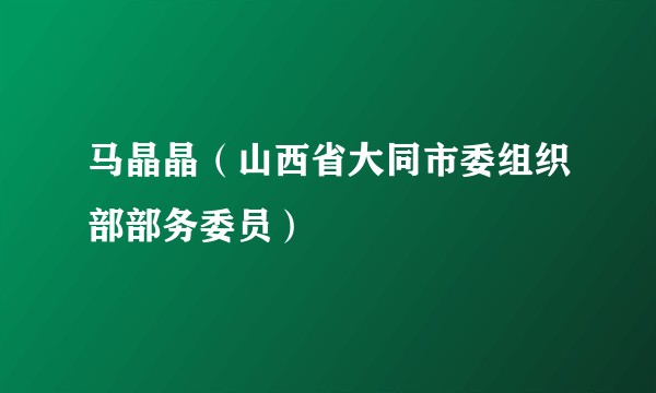 马晶晶（山西省大同市委组织部部务委员）