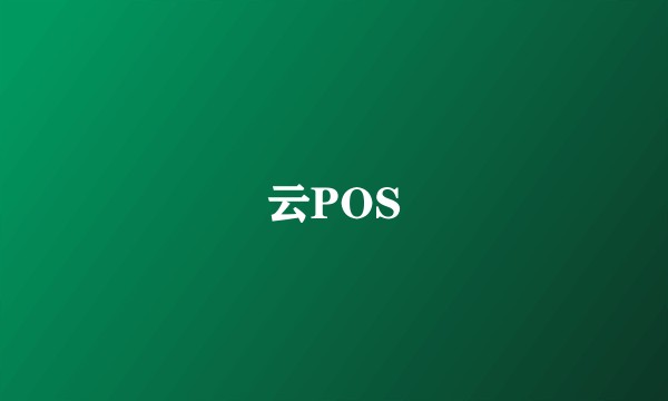 云POS