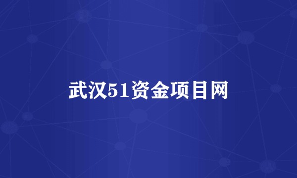 武汉51资金项目网