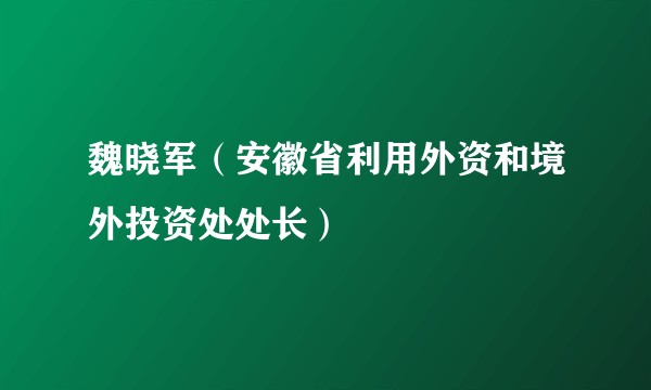 魏晓军（安徽省利用外资和境外投资处处长）