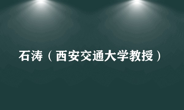 石涛（西安交通大学教授）