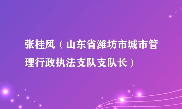 张桂凤（山东省潍坊市城市管理行政执法支队支队长）