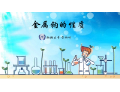 金属钠的性质