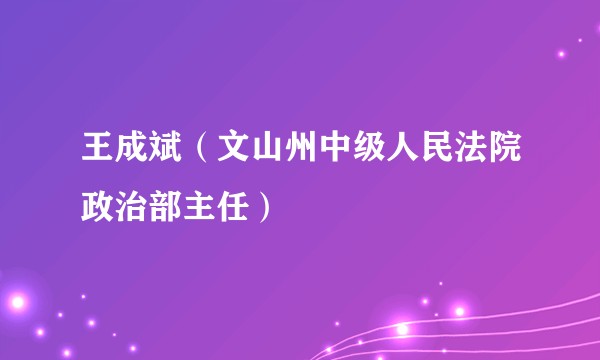 王成斌（文山州中级人民法院政治部主任）
