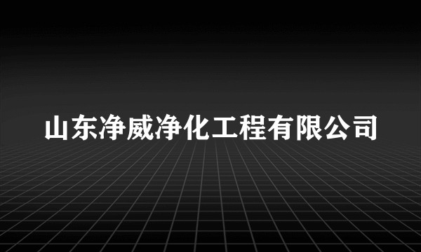 山东净威净化工程有限公司