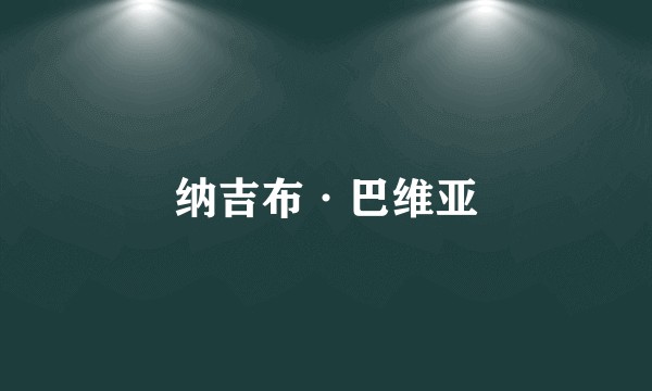 纳吉布·巴维亚