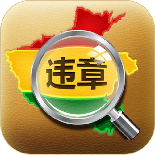 河南违章查询