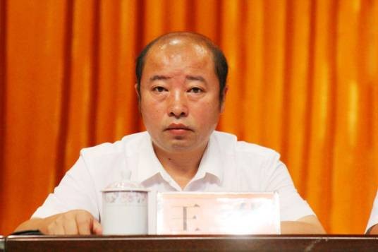 王华（贵州省凯里市委原常委、市人民政府副市长）
