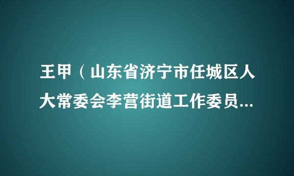 王甲（山东省济宁市任城区人大常委会李营街道工作委员会副主任）