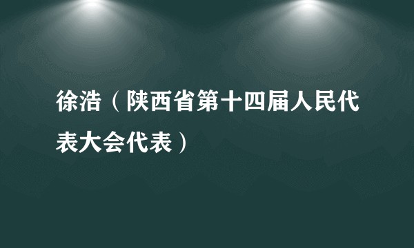 徐浩（陕西省第十四届人民代表大会代表）