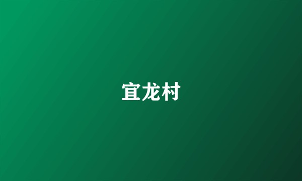 宜龙村