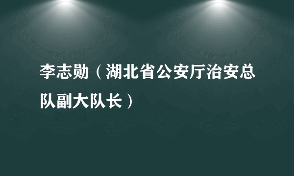 李志勋（湖北省公安厅治安总队副大队长）