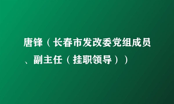 唐锋（长春市发改委党组成员、副主任（挂职领导））