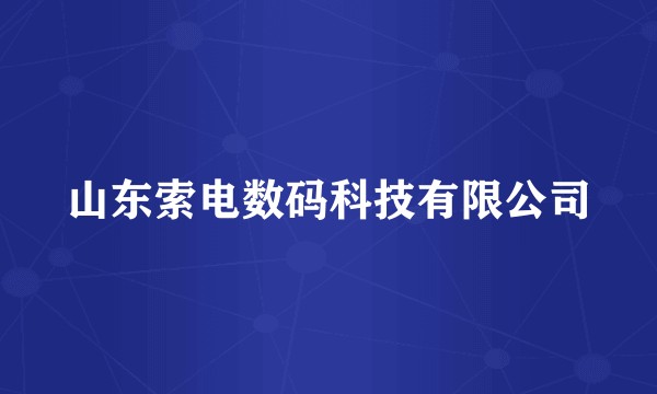 山东索电数码科技有限公司
