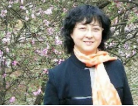 王丽萍（华北电力大学可再生能源学院教授）