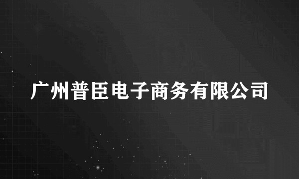 广州普臣电子商务有限公司