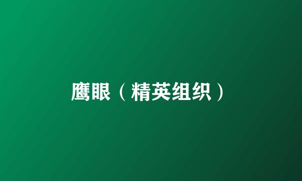 鹰眼（精英组织）